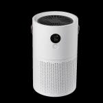 HOMEFISH Smoke Pm2.5 Negative Ion Desktop Cleaner Air Purifier