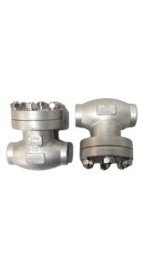 Quality Weld Connection Cryogenic Check Valve Stainless Steel SS304 DN10mm - DN25mm wholesale