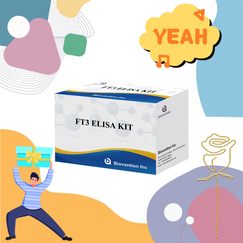 FT3 Free Triiodothyronine For Human Diagnostic Reagent Kits With 96T ELISA Test For Clinic Hospital Lab