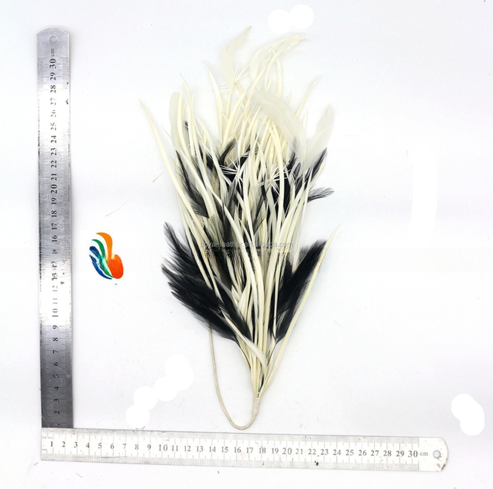 15*30 cm Party Decoration Hackle Feather and Stripped Coque Feather Flower Mount with Wire Accessory