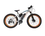 Colorful Big Two Wheel Electric Bike With A Max Range 40km LED Light