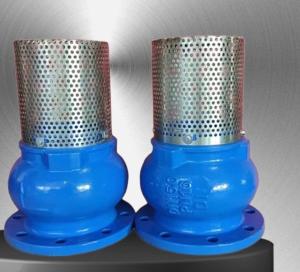 Quality GGG50 H42X cast iron flanged foot valve manufacturer in China wholesale