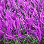 Colorful Fake Plastic Grass Carpet Running Tracking For Kingdergarden Kids