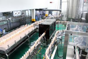 Quality Intelligent Control 1500ml Aseptic Cold Filling Machine wholesale