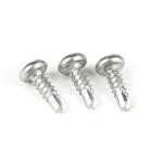 Standard According to Customers Needs Stainless Steel Torx Pan Head Self