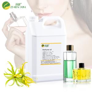Quality Girl Fragrance Perfumes Oil Liquid Concentrate With Free Sample 10ml wholesale