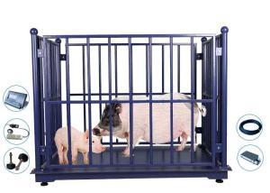 Quality LED Portable Cow Weight Machine , 1000Kg Portable Animal Scales wholesale