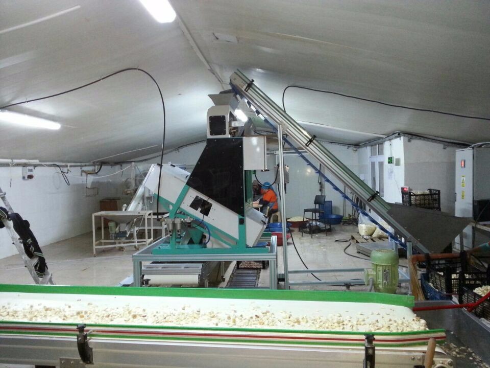 Macadamia Nut Wenyao Color Sorter For Walnuts Hazelnuts Almonds Pistachios