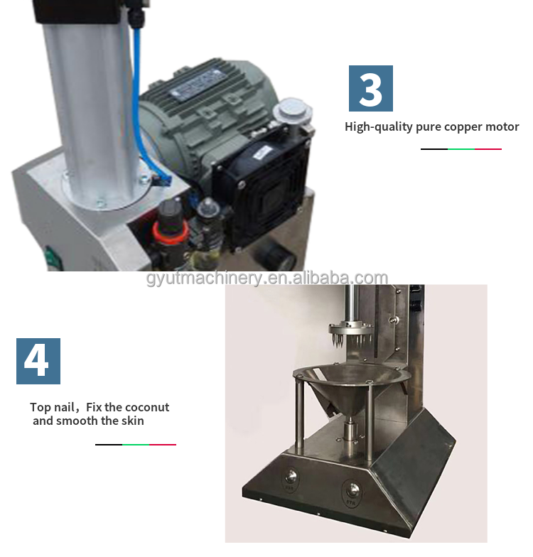 Restaurant Coconut Peeling Machine for Malaysia Market at Affordable