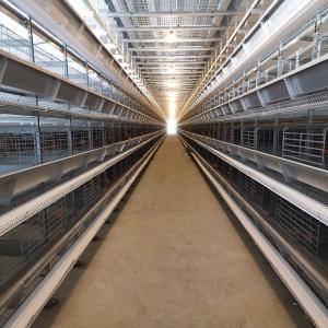 Quality H Type Egg Chicken Layer Cage Price Chicken Wire Cage for Poultry Farm wholesale