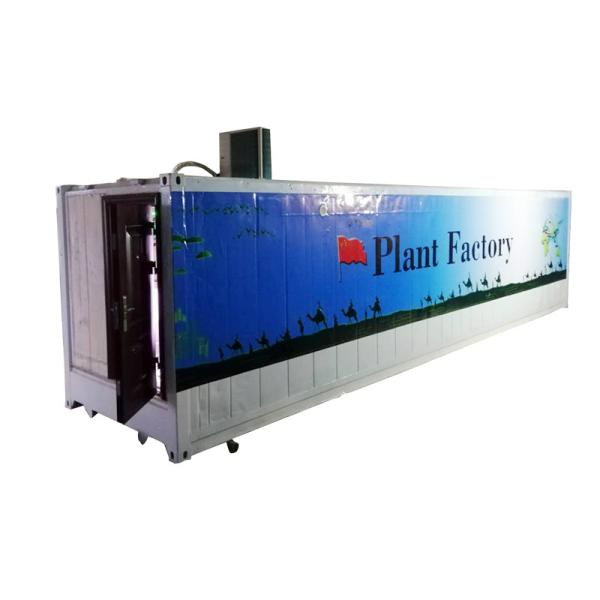 40ft Container Greenhouse Farm for Temperature Climate Controlled Vegetable