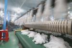 380V Medical Latex Surgical Gloves Making Machine 50M-150M