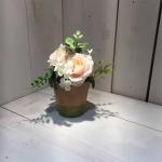 Wholesale Indoor Outdoor Buy Online Decoration Recycled Plastic China Plants