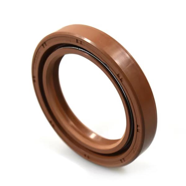 DCY DC AW3055 Oil Seal Ring NBR Metal Rubber FKM Double Spring Oil Seal High