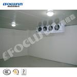 Colorbond Painted Steel Cold Room for Vegetable/Ice/Fish/Meat Storage Equipment