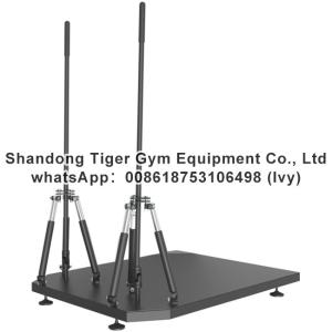 Quality Gym Fitness Equipment 360° Handle Training Platform wholesale