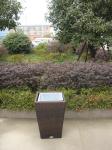 Park Wicker Flower Pot
