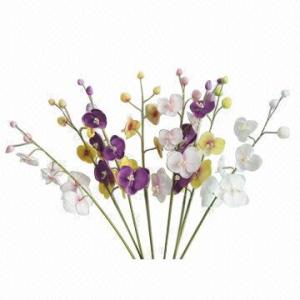 Quality Real Touch PU Phalaenopsis wholesale