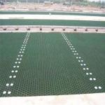Black Green HDPE Paver Grids for Driveway Parking Lot Drive Way 38mm 48mm 60mm