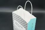 Twisted Handle Paper Bags Custom Recyclable Kraft Paper Gift Bags