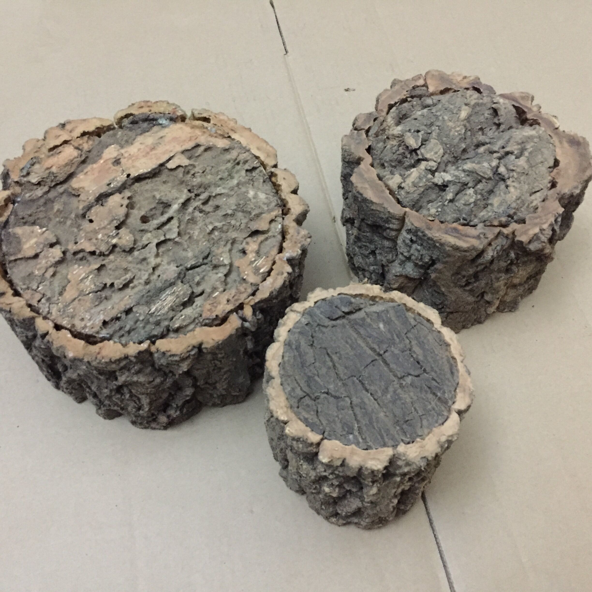 Environmental Round Cork Bark Planter for Indoor or Outdoor Gardening