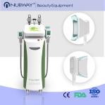 Hottest Cryotherapy Body Contouring Fat Freezing Liposuction Criolipolisis