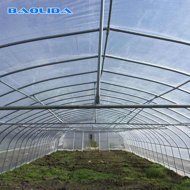 Clear Plastic Film Polyethylene Steel Frame Greenhouse With Irrgation System