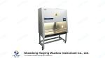 SS304 Class100 BSC Biosafety Cabinet For Chemotherapy