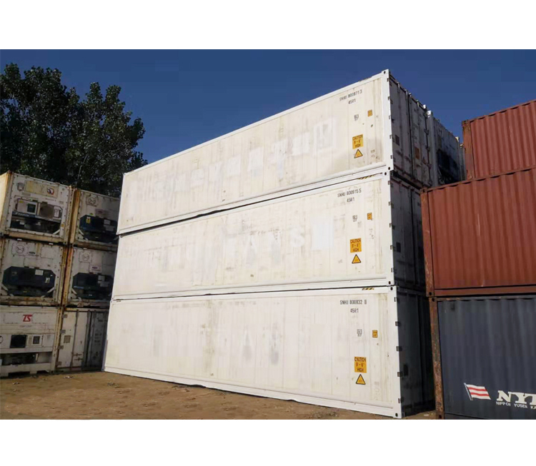 20RH Refrigerated Storage Reefer Container House