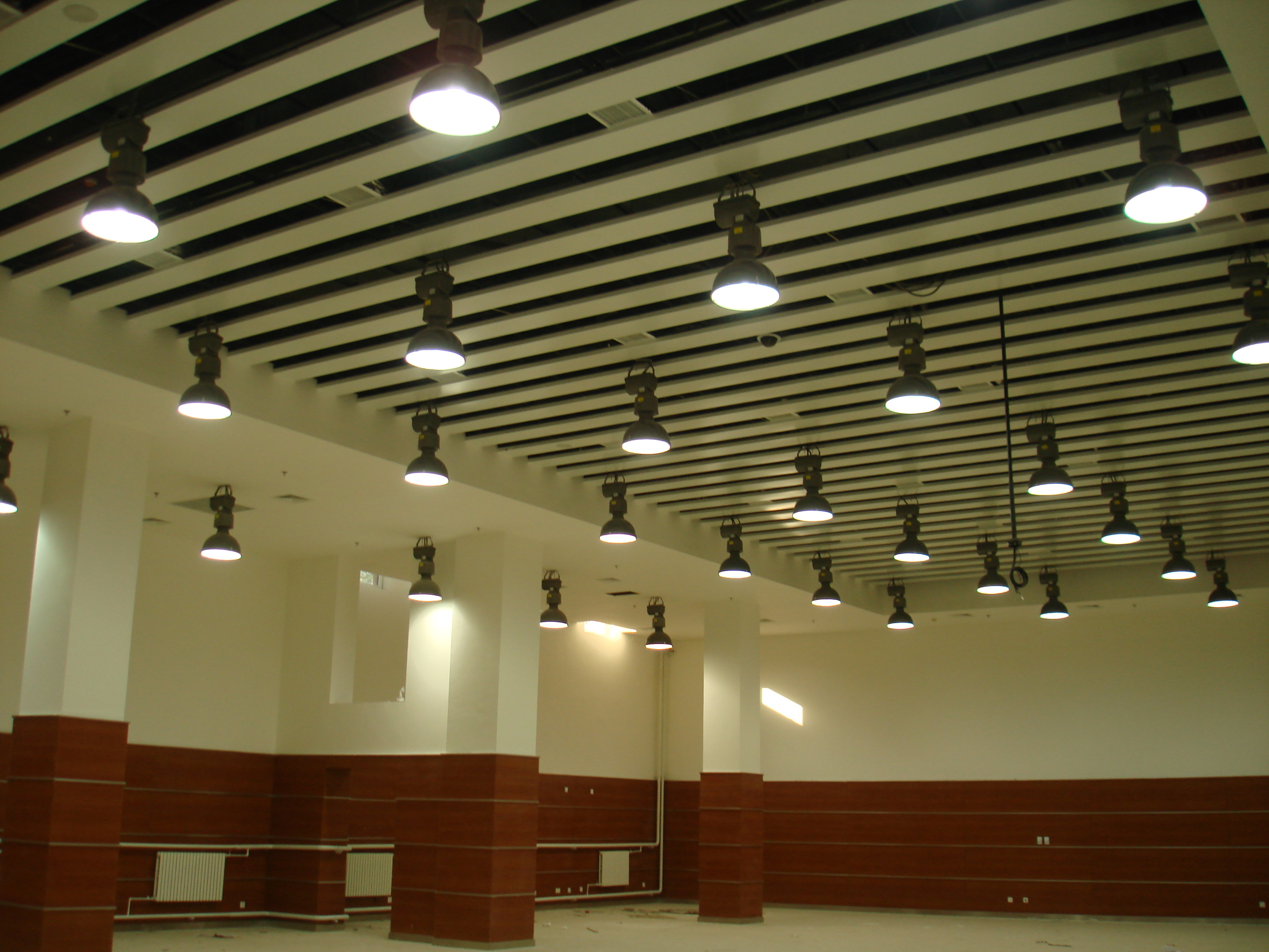 150W LED Light Lifter
