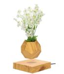 hotsale magnetic levitate floating bottom air bonsai pot planter tree