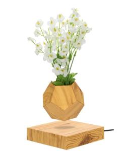 Quality hotsale magnetic levitate floating bottom air bonsai pot planter tree wholesale