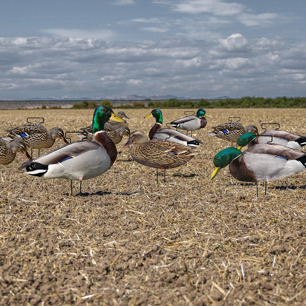 Silhouette Mallard Drake Hen Hunting Decoy 43x26CM 45x22CM 48x18CM Light Weight