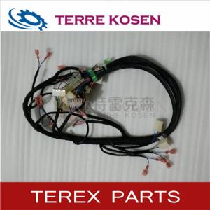 Quality TEREX 15310125 HARNESS-INSTRUMENTS for terex tr100 truck parts wholesale