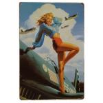 Vintage Sexy Lady Pin Up Girl Painting Tin signs, Metal Plate Art Poster, Wall