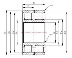 Quality SL series roller bearings SL0249 Series Cylindrical Roller Bearings SL024976 wholesale