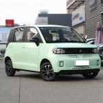 Affordable Mini Car Low Speed EV Vehicle from Chinese for Your Business