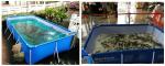 Wholesale Pvc Fish Tank