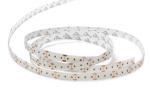 New 2110 SMD 240LED Flexible LED Strips Manufacturer Low power Single color