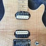 EVH Wolfgang Edward Van Halen Guitars quilted vibrato Floyd Rose Electric