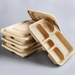 Eco Friendly Biodegradable Sugarcane Bagasse Pulp Paper Take Away Hot Food