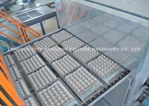 Quality TOP quality egg tray machine , High Quality Paper Egg Tray Machine wholesale