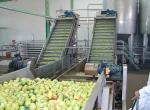 good quality Mango Orange fruit juice almond milk production line /fruit juice
