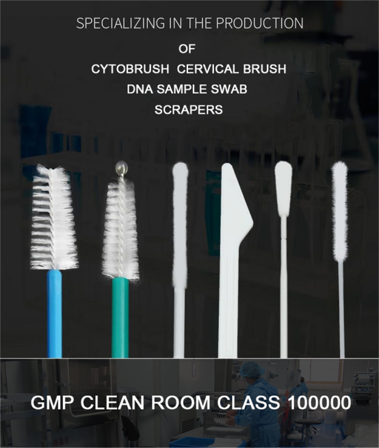 Cervical Cancer Screening Endocervical Brush Spatula For Ectocervix