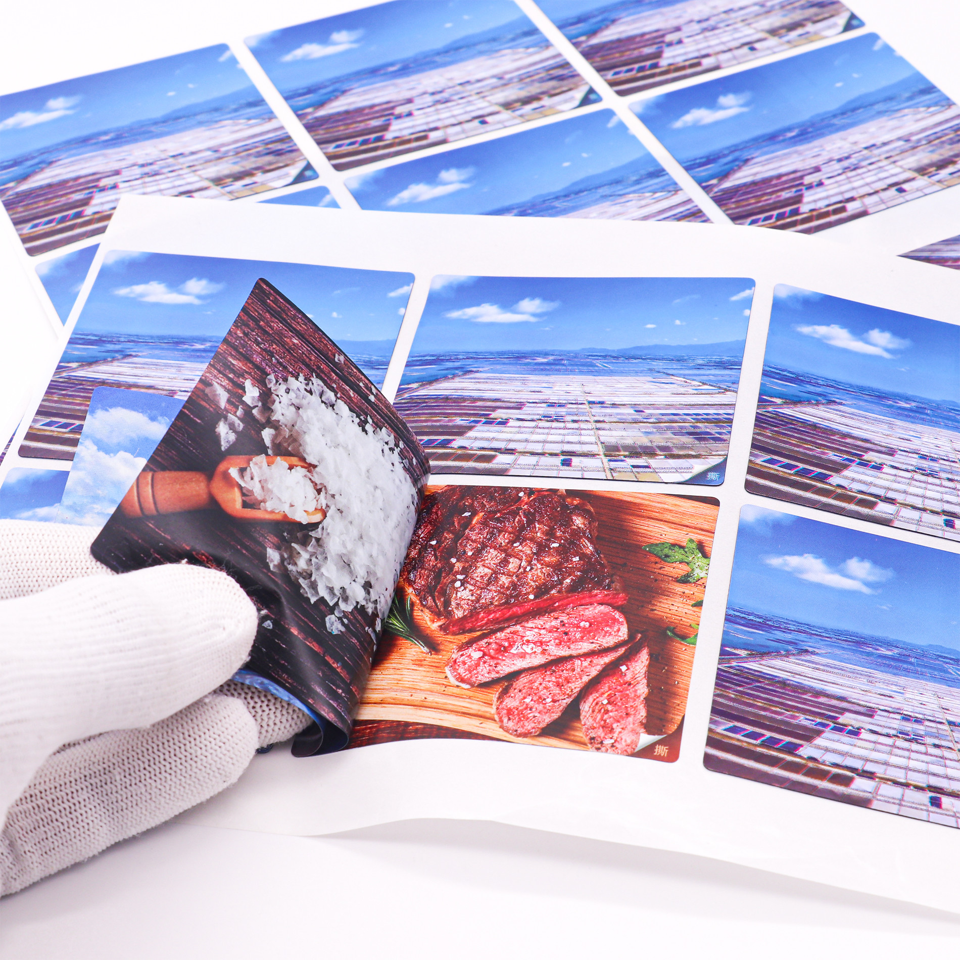 Peel and Reseal Multi layer Labels Peel and Reveal Sticker Labels Peel Off Sticker Labels