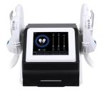 1 - 100Hz EMS RF Machine Stationary EMS Muscle Building Machine 220V
