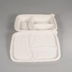 White Eco Friendly PLA Tableware 203cmx209cmx70cm 3 compartment