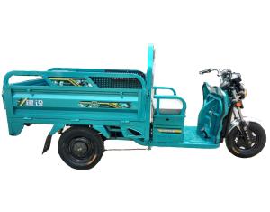 Quality 60V 1000W Battery Operated Tricycle For Adults wholesale