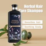Anti Hair Loss Shampoo And Conditioner Argan Oil Anti Dandruff Private Label