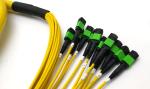 40G 100G 144 Core SM APC Mpo Patch Cable